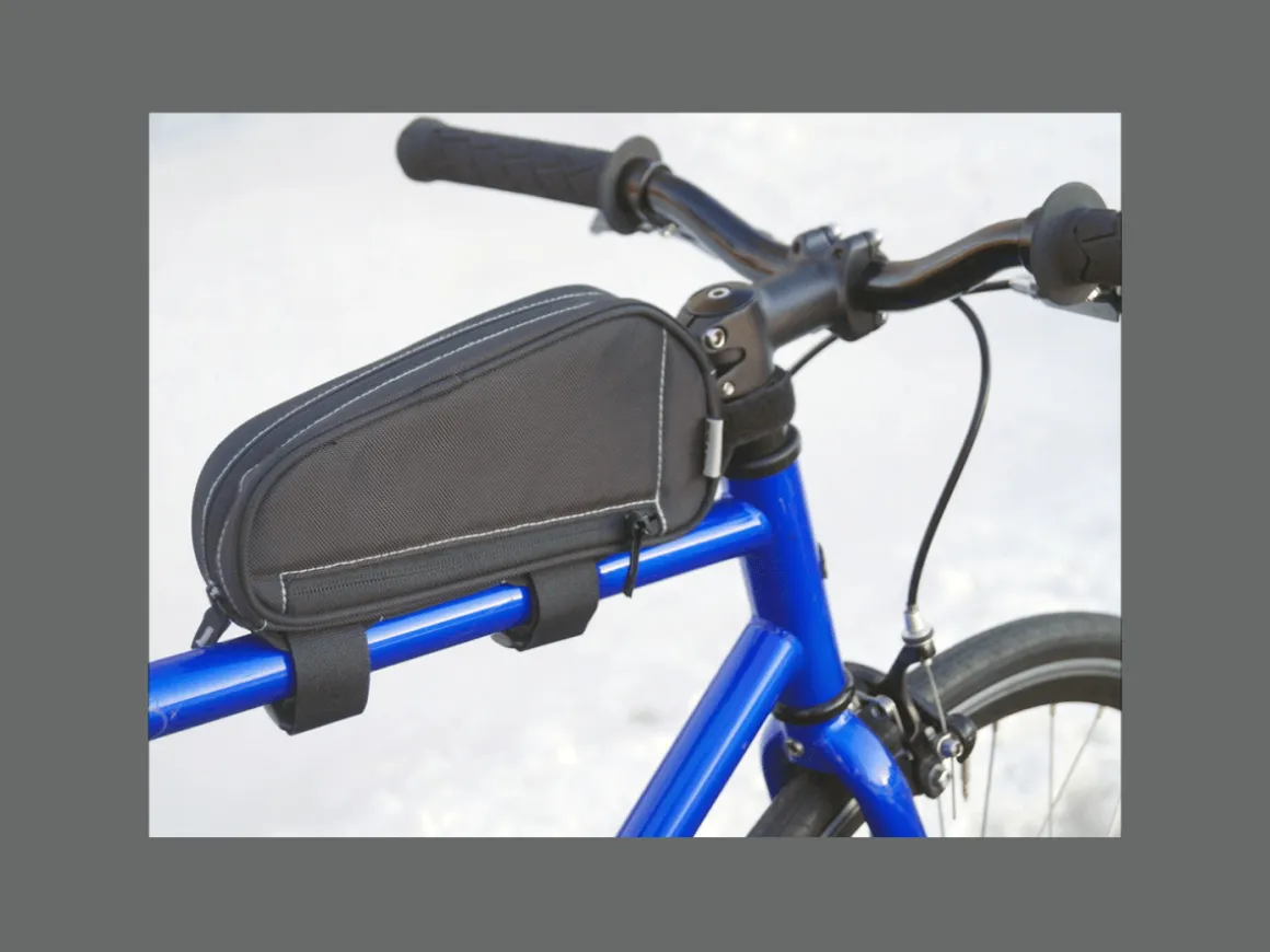 Trek Bikes BiKASE Little John Frame Bag