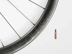 Trek Bikes Bontrager Aeolus RSL 37 Tubular Disc Road Wheel