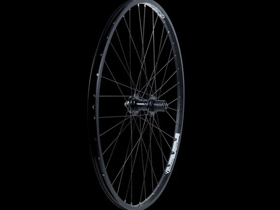 Trek Bikes Bontrager AT-550 6-Bolt Disc 29" MTB Wheel