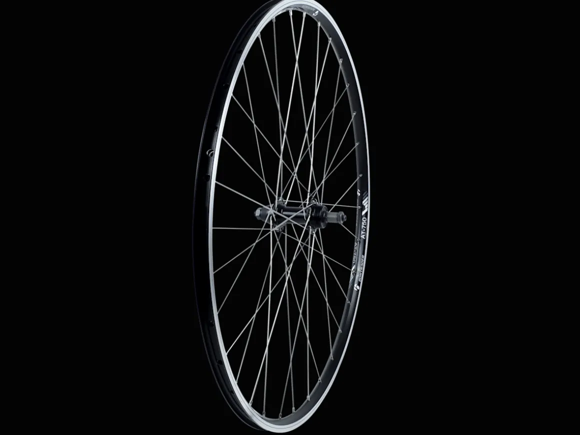 Trek Bikes Bontrager AT-750 Bolt-On 700c Track Wheel