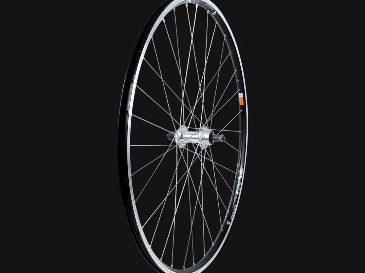 Trek Bikes Bontrager AT-750 Bolt-On 700c Track Wheel