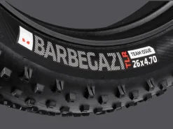 Trek Bikes Bontrager Barbegazi Fat Bike Tire
