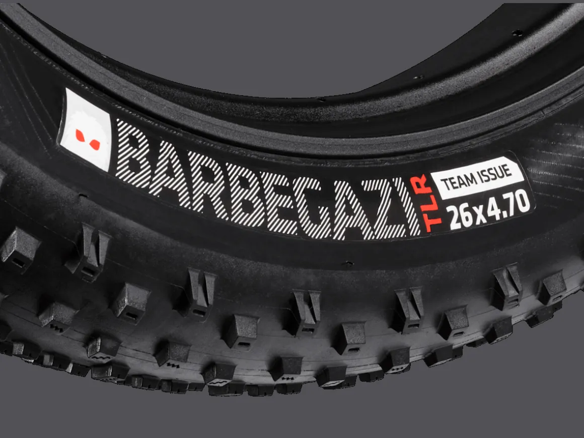 Trek Bikes Bontrager Barbegazi Fat Bike Tire