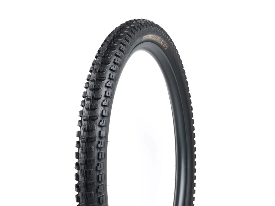 Trek Bikes Bontrager Brevard Pro XR TLR MTB Tire