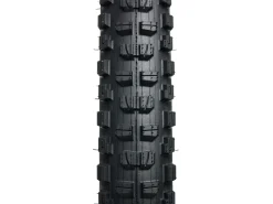 Trek Bikes Bontrager Brevard Pro XR TLR MTB Tire