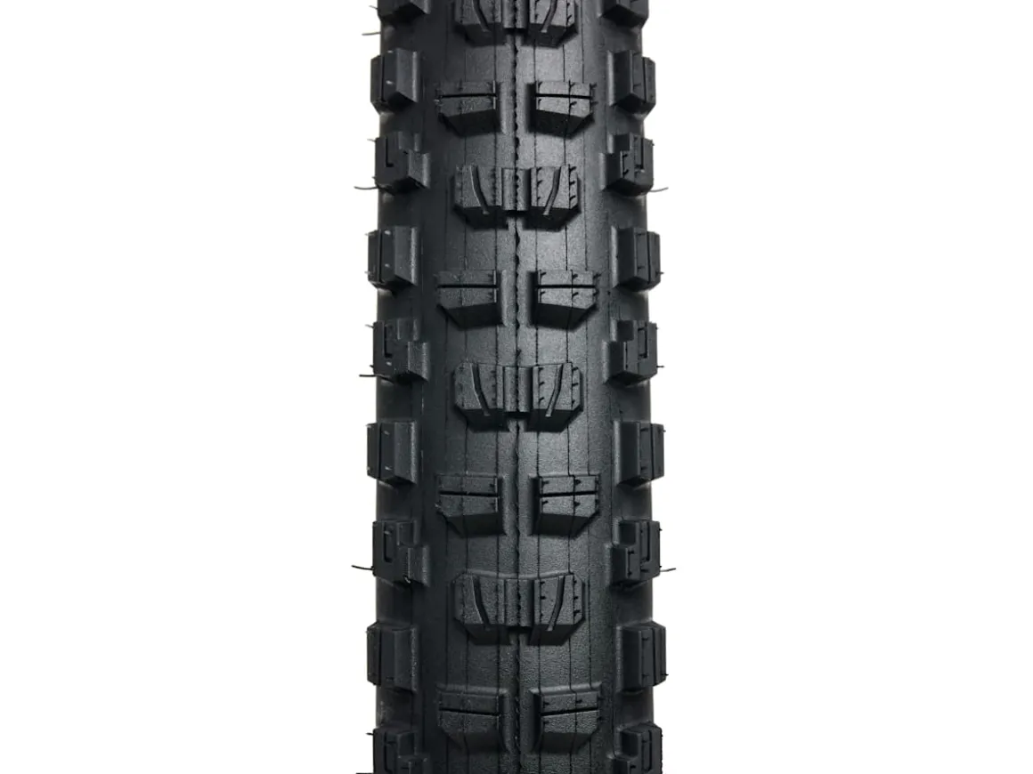 Trek Bikes Bontrager Brevard Pro XR TLR MTB Tire