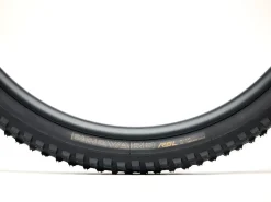 Trek Bikes Bontrager Brevard RSL SE TLR MTB Tire