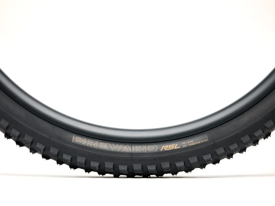 Trek Bikes Bontrager Brevard RSL SE TLR MTB Tire
