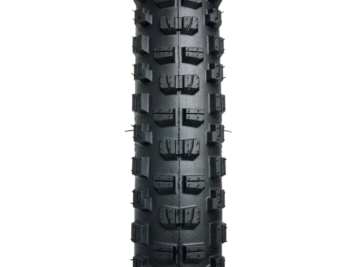 Trek Bikes Bontrager Brevard RSL SE TLR MTB Tire