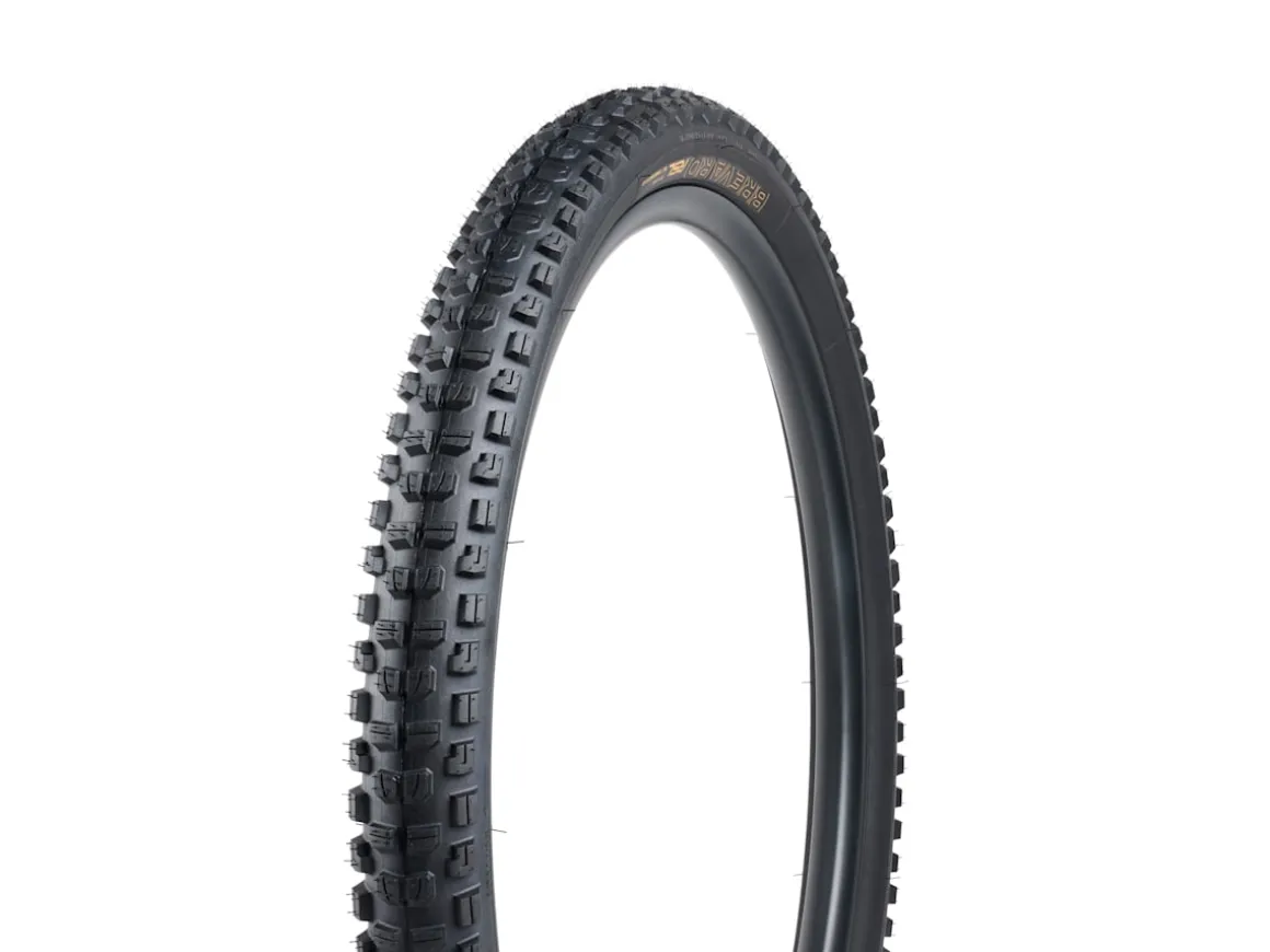 Trek Bikes Bontrager Brevard RSL SE TLR MTB Tire