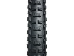 Trek Bikes Bontrager Brevard RSL SE TLR MTB Tire