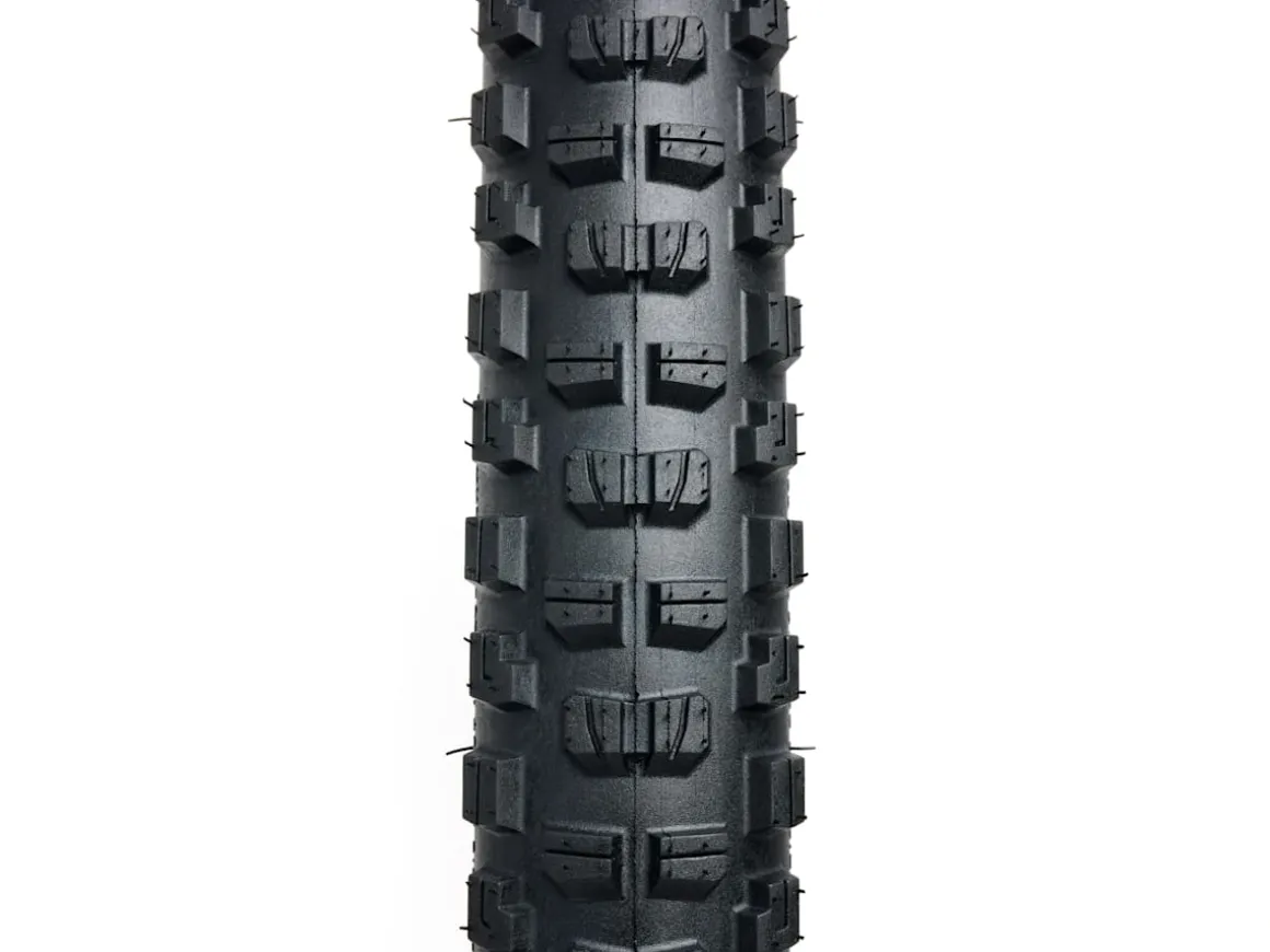Trek Bikes Bontrager Brevard RSL SE TLR MTB Tire