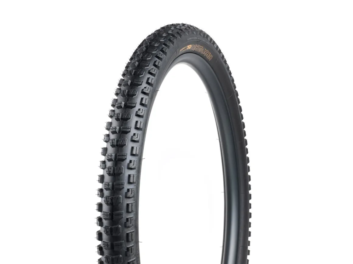 Trek Bikes Bontrager Brevard RSL XT TLR MTB Tire