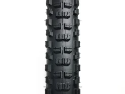 Trek Bikes Bontrager Brevard RSL XT TLR MTB Tire