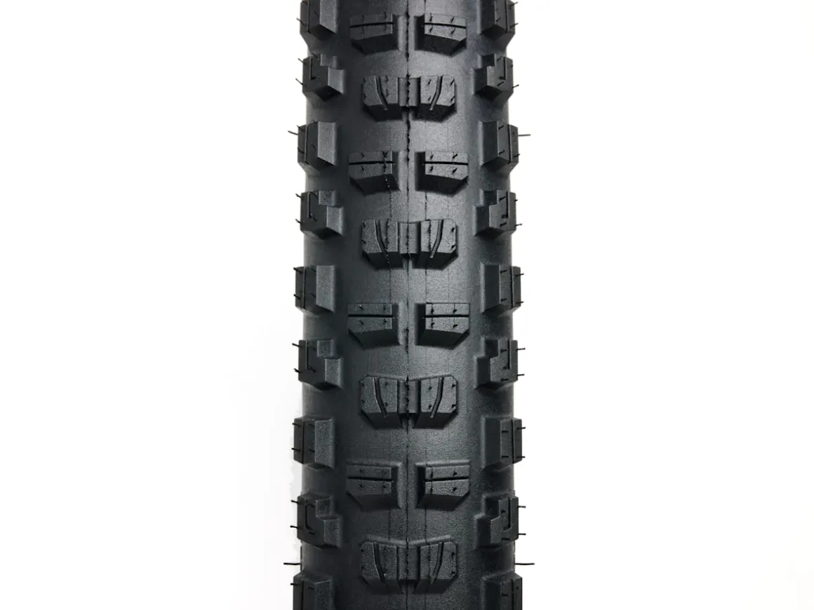 Trek Bikes Bontrager Brevard RSL XT TLR MTB Tire