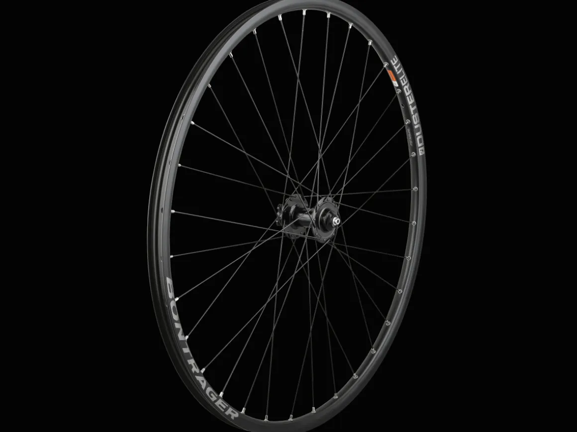 Trek Bikes Bontrager Duster Elite TLR 6-Bolt 32H Disc 29" MTB Wheel