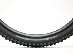 Trek Bikes Bontrager Galbraith RSL SE TLR MTB Tire