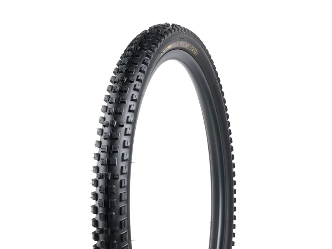 Trek Bikes Bontrager Galbraith RSL SE TLR MTB Tire
