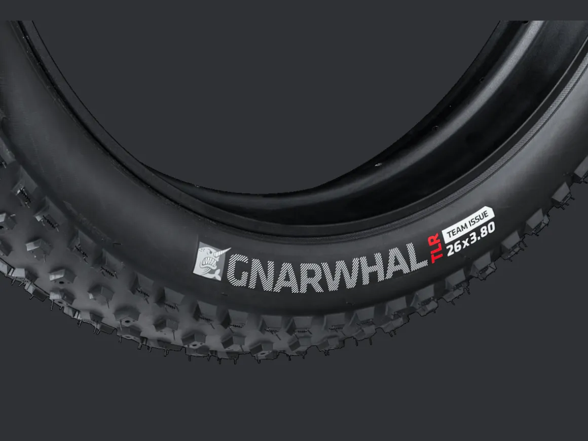 Trek Bikes Bontrager Gnarwhal Fat Bike Tire