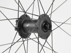 Trek Bikes Bontrager Line Elite 30 TLR Boost 29 MTB Wheel