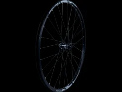 Trek Bikes Bontrager Mustang Pro 29" TLR Center Lock Disc MTB Wheel