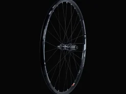 Trek Bikes Bontrager Mustang Pro 29" TLR Center Lock Disc MTB Wheel