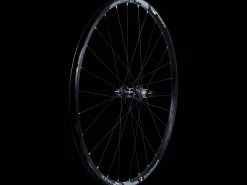 Trek Bikes Bontrager Mustang Pro 29" TLR Center Lock Disc MTB Wheel