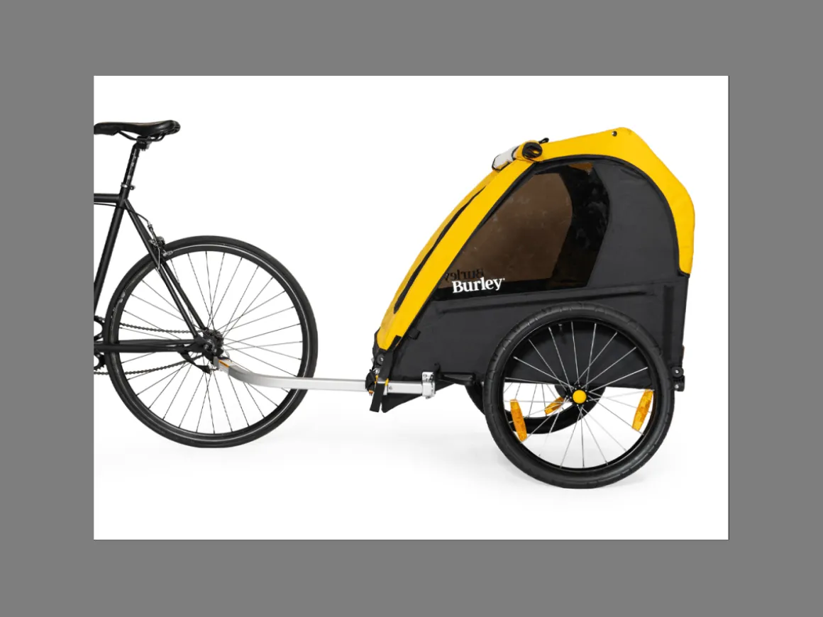 Trek Bikes Burley Bee Kids Trailer