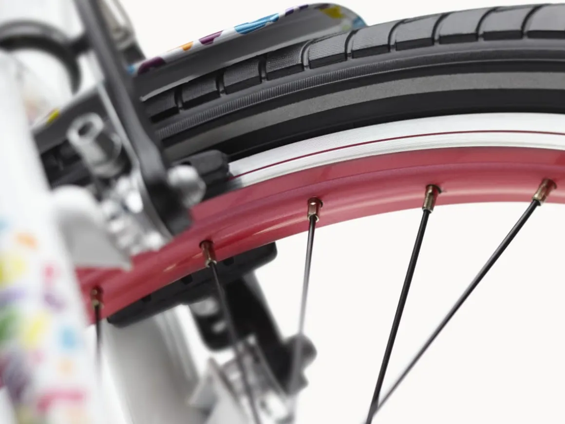 Kids Trek Bikes Cat's Meow Sprocket 20"