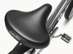 Trek Bikes Cruiser 1 Step-Thru
