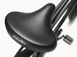 Trek Bikes Cruiser 7D Step-Over