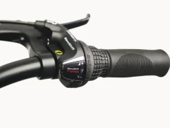 Trek Bikes Cruiser 7D Step-Over