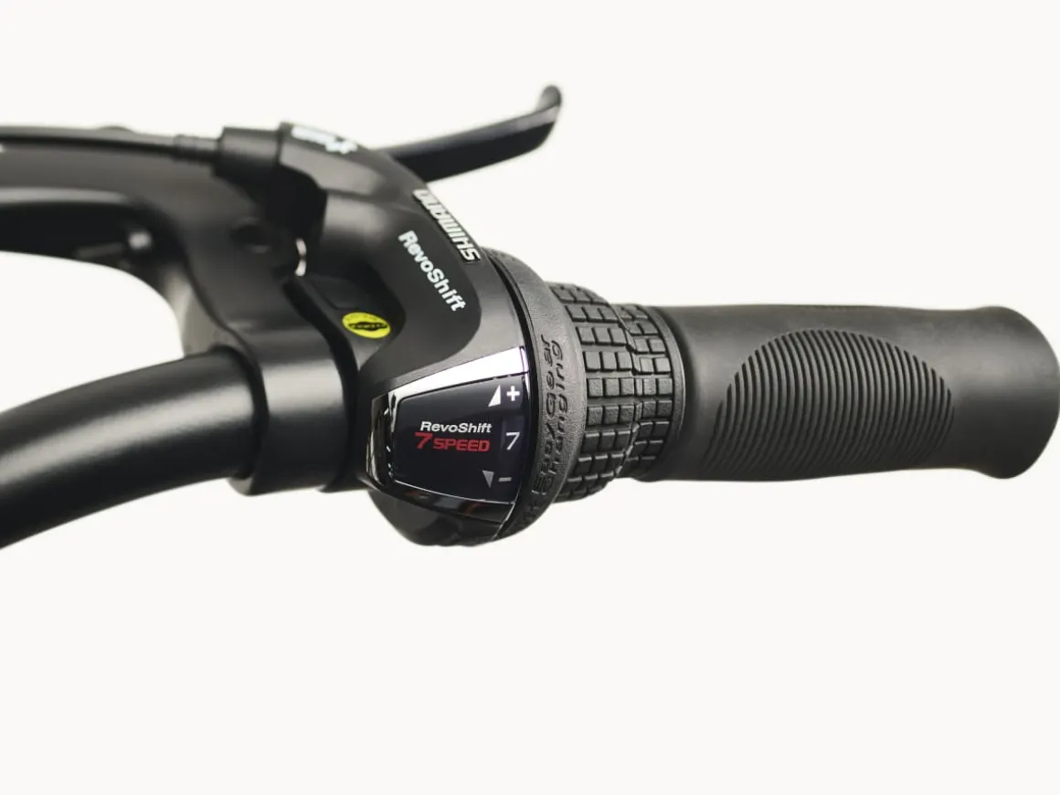 Trek Bikes Cruiser 7D Step-Over