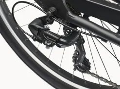 Trek Bikes Cruiser 7D Step-Over