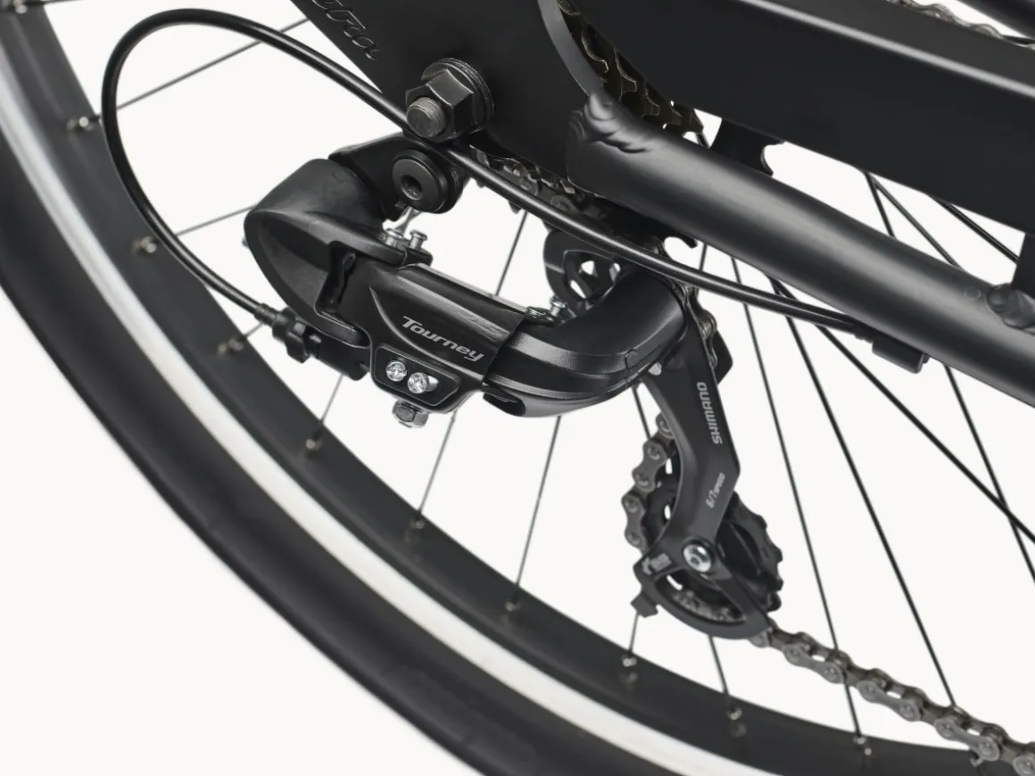 Trek Bikes Cruiser 7D Step-Over
