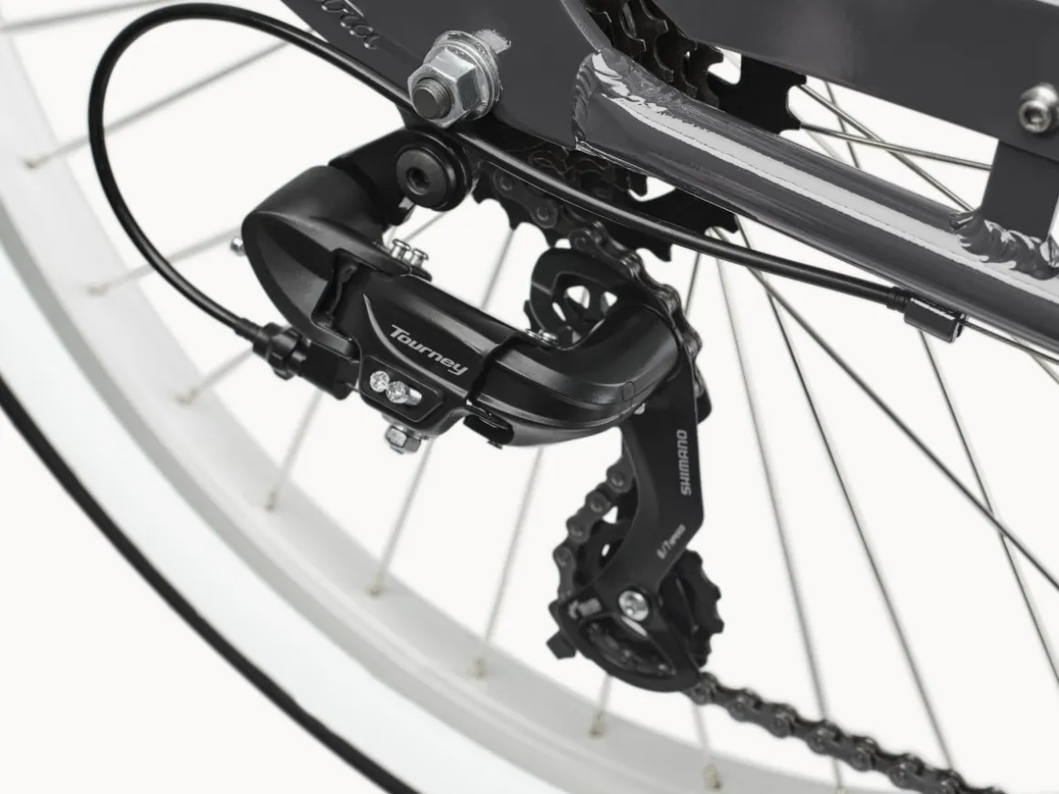 Trek Bikes Cruiser 7D Step-Thru