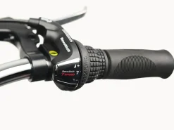 Trek Bikes Cruiser 7D Step-Thru