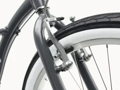 Trek Bikes Cruiser 7D Step-Thru