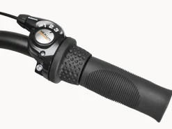 Trek Bikes Cruiser 3i Step-Over