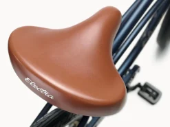 Trek Bikes Cruiser 3i Step-Over