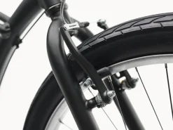Trek Bikes Cruiser 3i Step-Over