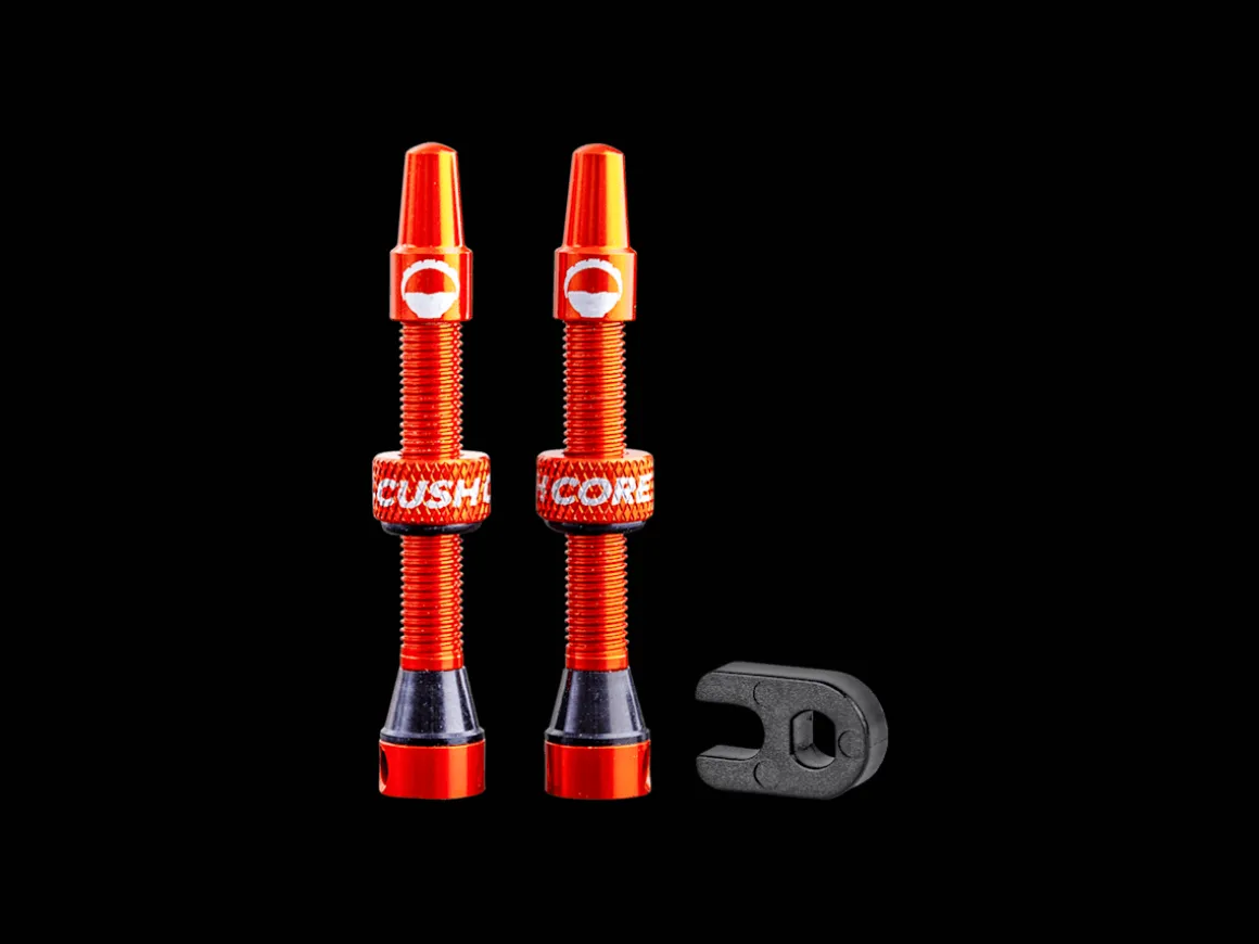 Trek Bikes CushCore Alloy Tubeless Presta Valves
