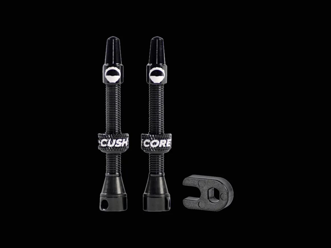 Trek Bikes CushCore Alloy Tubeless Presta Valves