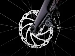 Women Trek Bikes Domane AL 2 Gen 4