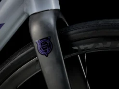 Women Trek Bikes Domane AL 2 Gen 4