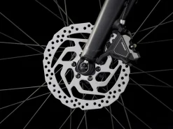 Trek Bikes Dual Sport+ 2 LT