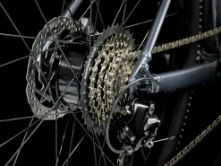 Trek Bikes Dual Sport+ 2 LT