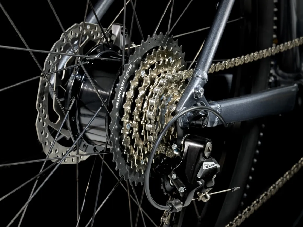 Trek Bikes Dual Sport+ 2 LT