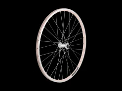 Trek Bikes Electra 2021 Townie 7D 26" Wheels