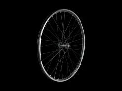 Trek Bikes Electra 2021 Townie 7D 26" Wheels